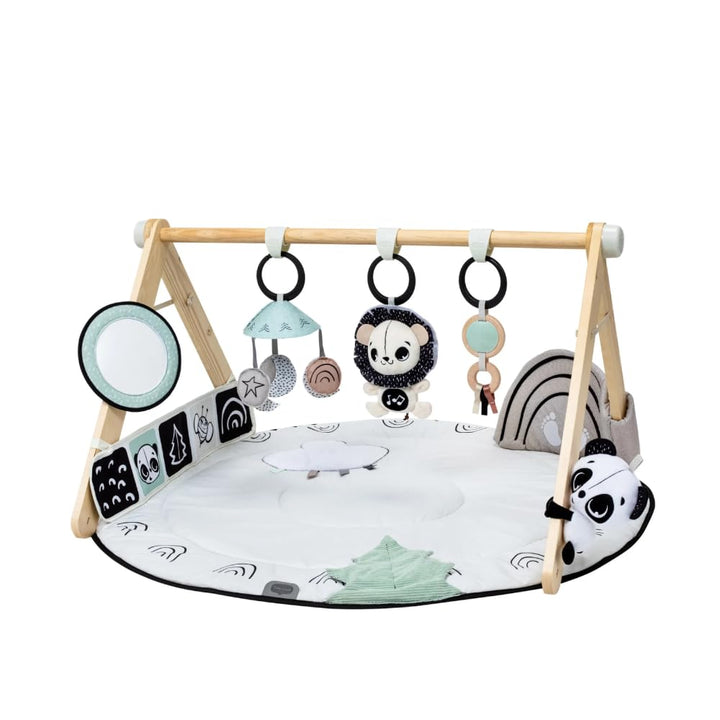 Tiny Love Luxe Developmental Gymini, Baby-Spielbogen mit Musik, ab 0 Monaten, Spielmatte für Babys,