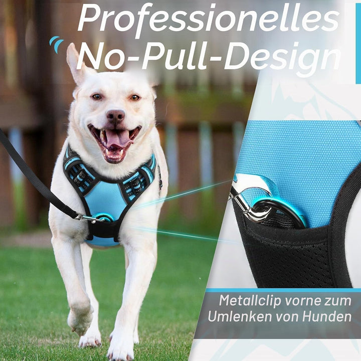 Eagloo Hundegeschirr Kleine Hunde, Anti Zug Hundegeschirr mit Reflexstreifen und Kontrolle, Verstell