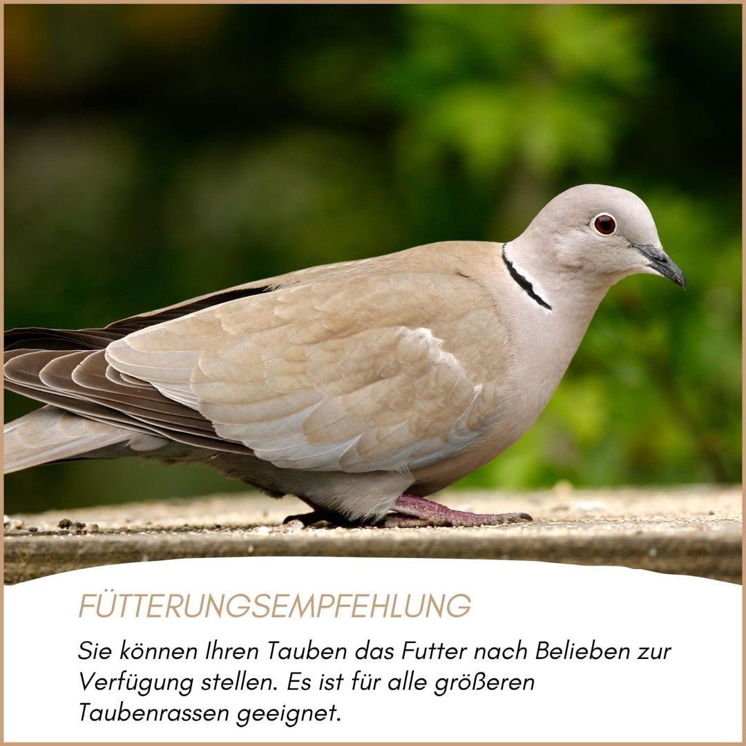SUPRAVIT Taubenfutter 25kg Basis | nahrhaftes Allroundfutter für Tauben | Klassische Futter Körnermi