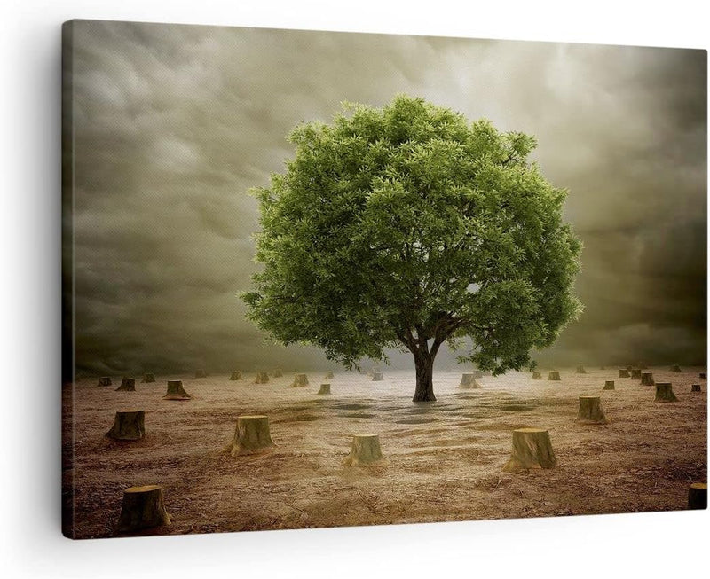 Bilder auf Leinwand Baum Feld Umwelt Leinwandbild mit Rahmen 70x50cm Wandbilder Dekoration Wohnzimme