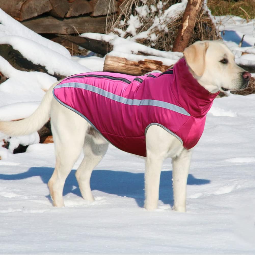 FEimaX Hundemantel Hundejacke wasserdichte Reflektierende Wintermantel mit Fleece Gefüttert Hund Wel