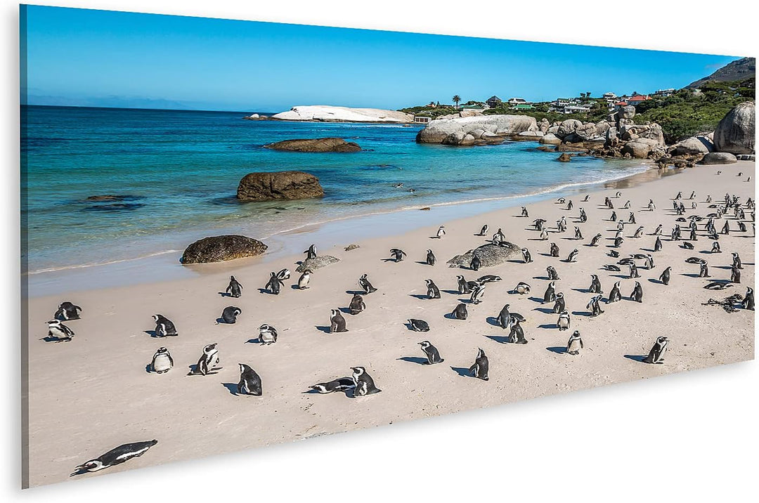 islandburner Bild auf Leinwand Pinguine Kapstadt Südafrika Afrikanischer Strand Bilder Wandbilder Po