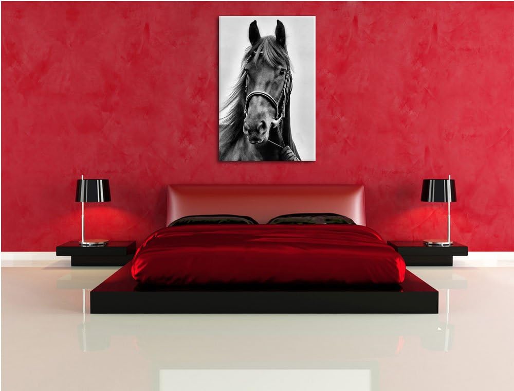 Monocrome, braunes Pferd, Format: 100x70 auf Leinwand, XXL riesige Bilder fertig gerahmt mit Keilrah
