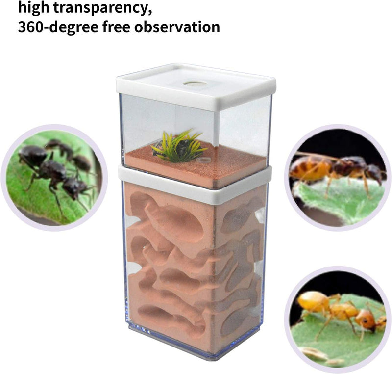 aleawol Natürliche Ameisenfarm Ameisennest Formicarium aus Gips Transparentes Ameisenhaus Ameisen Zu