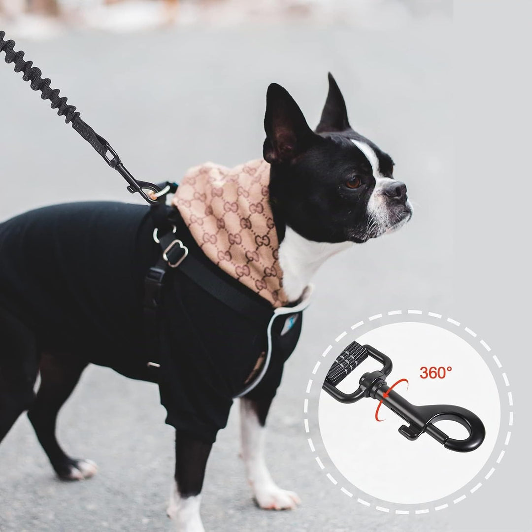 Snocyo Joggingleine Hunde, Jogging Hundeleine für Mittelgrosse und Grosse Hunde, Elastische und Refl