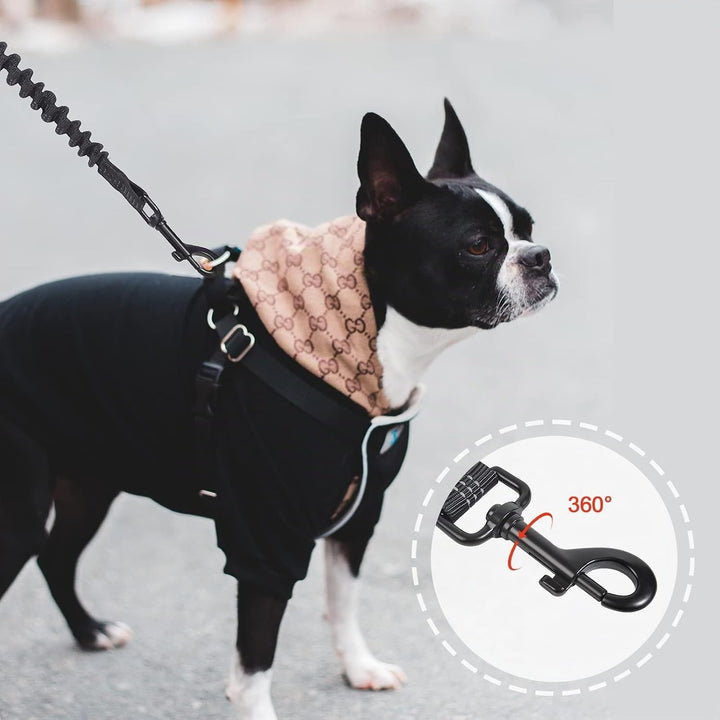 Snocyo Joggingleine Hunde, Jogging Hundeleine für Mittelgrosse und Grosse Hunde, Elastische und Refl