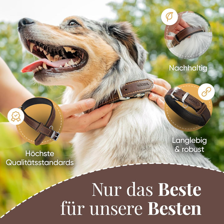 Michur Minimo Hundehalsband Leder, Lederhalsband Hund, Halsband, Braun, Leder, in verschiedenen Grös