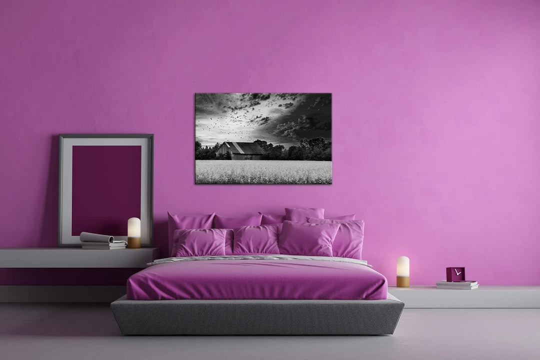 deyoli Scheune am blühendem Feld Effekt: Schwarz&Weiss Format: 100x70 als Leinwandbild, Motiv fertig