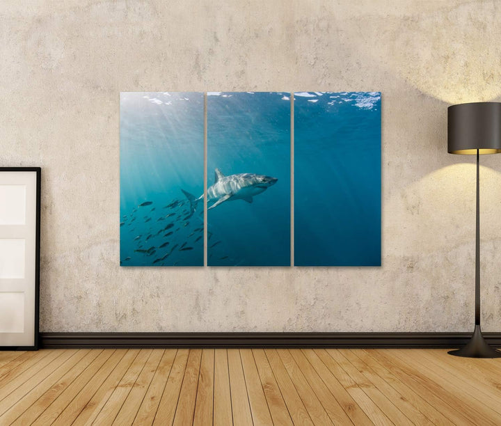 islandburner Bild auf Leinwand Grosser Weisser Hai Und Fischschwarm Bilder Wandbilder Poster 130x80c