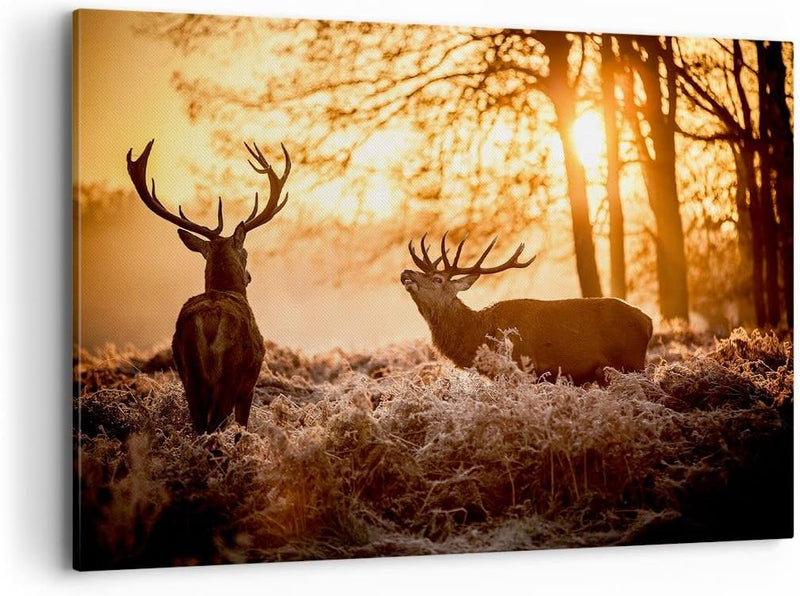 ARTTOR Bilder auf Leinwand 100x70cm Leinwandbild Deer Heidekraut Tier Gross Wanddeko Bild Schlafzimm