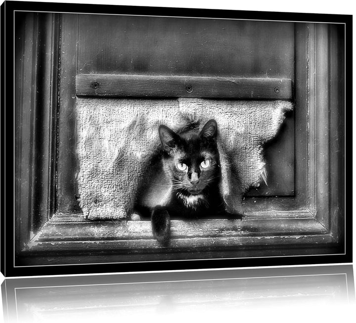 Pixxprint Monocrome, Schwarze Katze durch Hundeklappe, Format: 100x70 auf Leinwand, 100x70