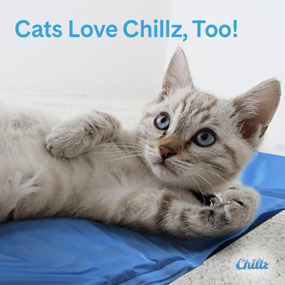 Umarmungen Pet Products chillz Pad Komfort Cooling Gel Pet Pad mittel blau, mittel blau