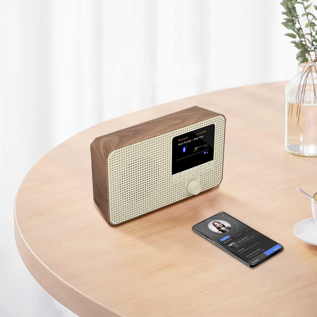 LEMEGA IR1 Tragbares WiFi Internetradio,DAB/DAB+/FM Digitalradio,Bluetooth,Doppelwecker,Schlaf-Snooz