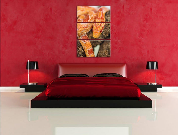 Pixxprint ruhende Kornnatter als Leinwandbild/Grösse: 3 Teilig (120x80) cm/Wandbild/Kunstdruck/ferti
