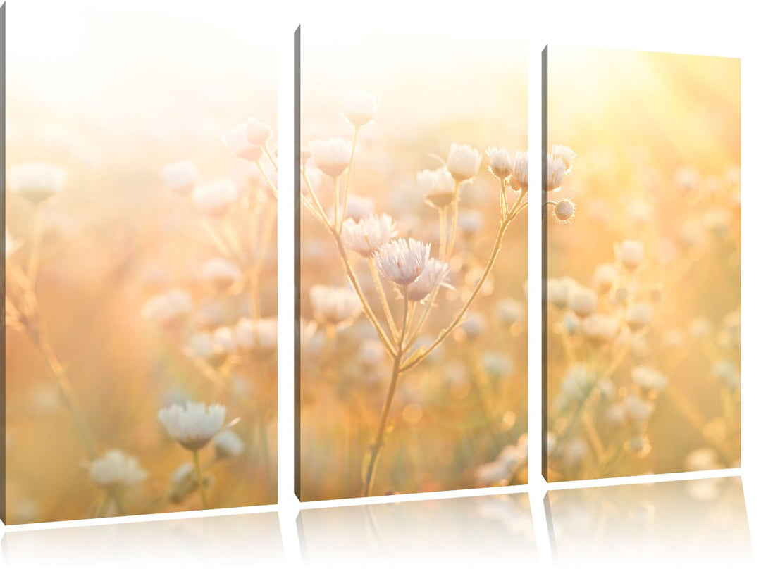 Pixxprint Romantische Blumenwiese als Leinwandbild | Grösse: 3 Teilig (120x80) | Wandbild| Kunstdruc