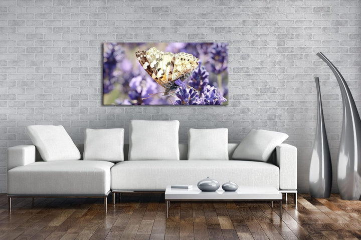 süsser Schmetterling Panorama 80x40 cm als Leinwandbild, Motiv fertig gerahmt auf Echtholzrahmen, Ho
