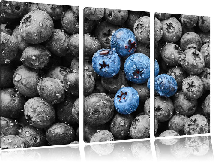 Pixxprint Blaubeeren mit Wassertropfen B&W Detail 3-Teiler Leinwandbild 120x80 Bild auf Leinwand