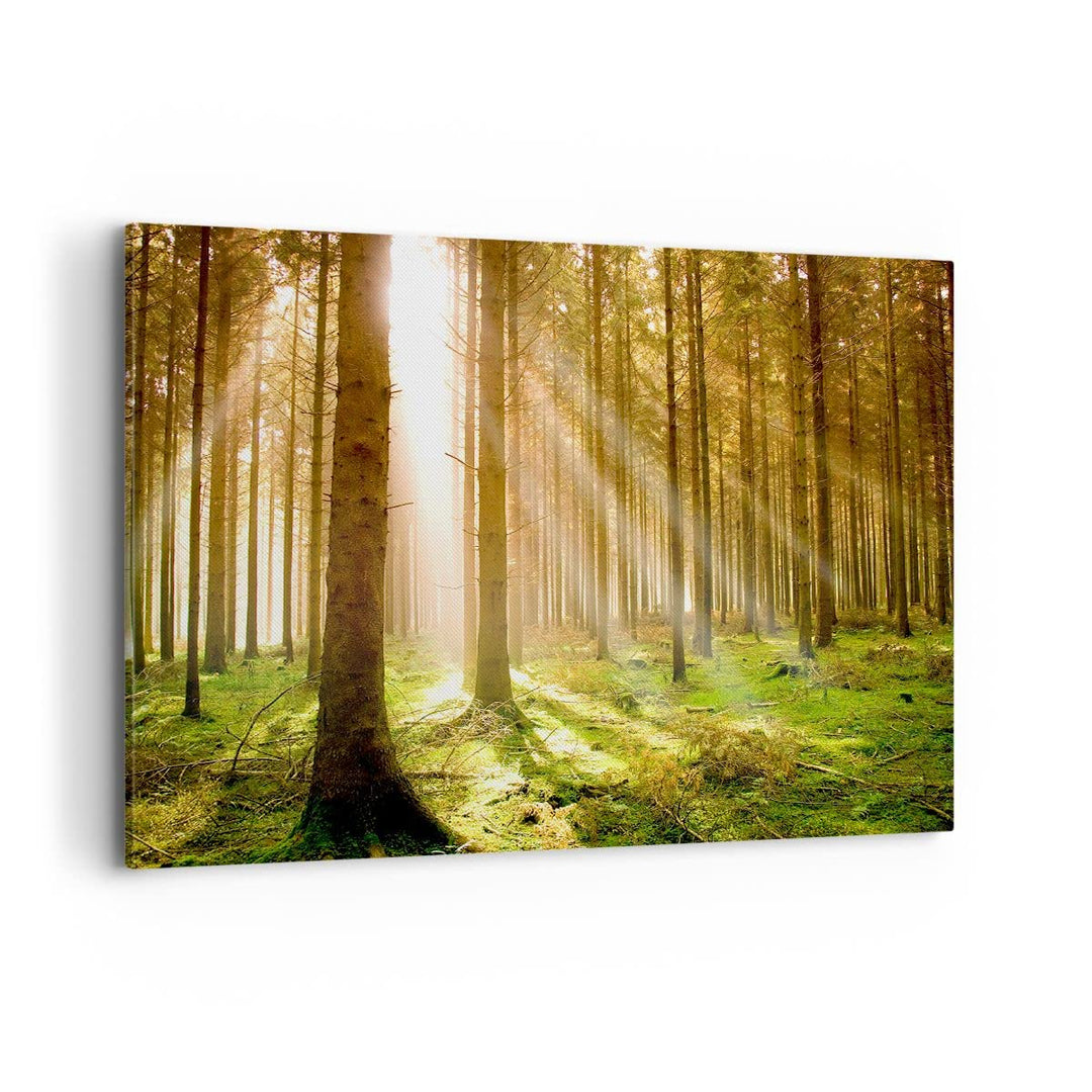 Bilder auf Leinwand 100x70cm Leinwandbild mit Rahmen Bäume Sonne Natur Gross Wanddeko Bild Schlafzim