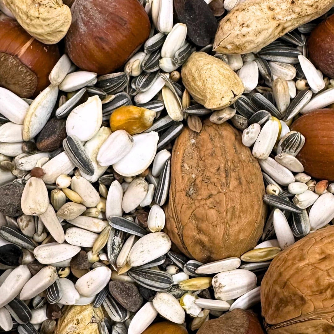 Supravit Artgerechtes Eichhörnchen Futter 1kg | Ausgewogenes Eichhörnchen-Futter mit Haselnüsse & Wa