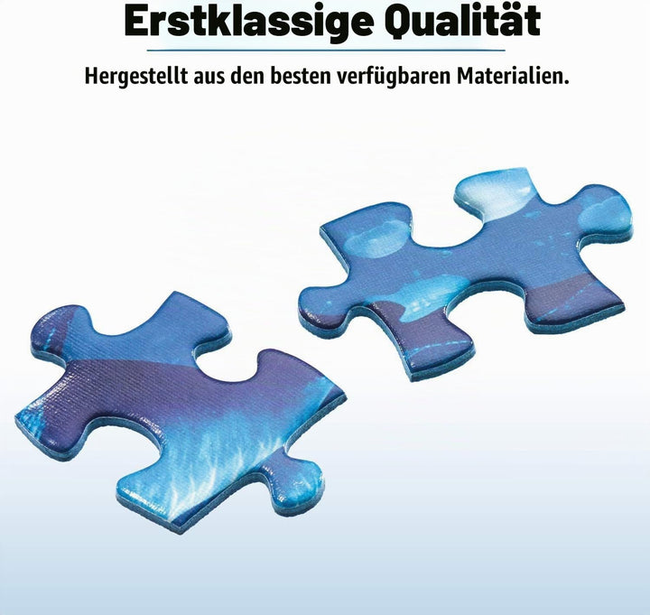 Ravensburger 16373 - Astronomie - 1500 Teile Puzzle