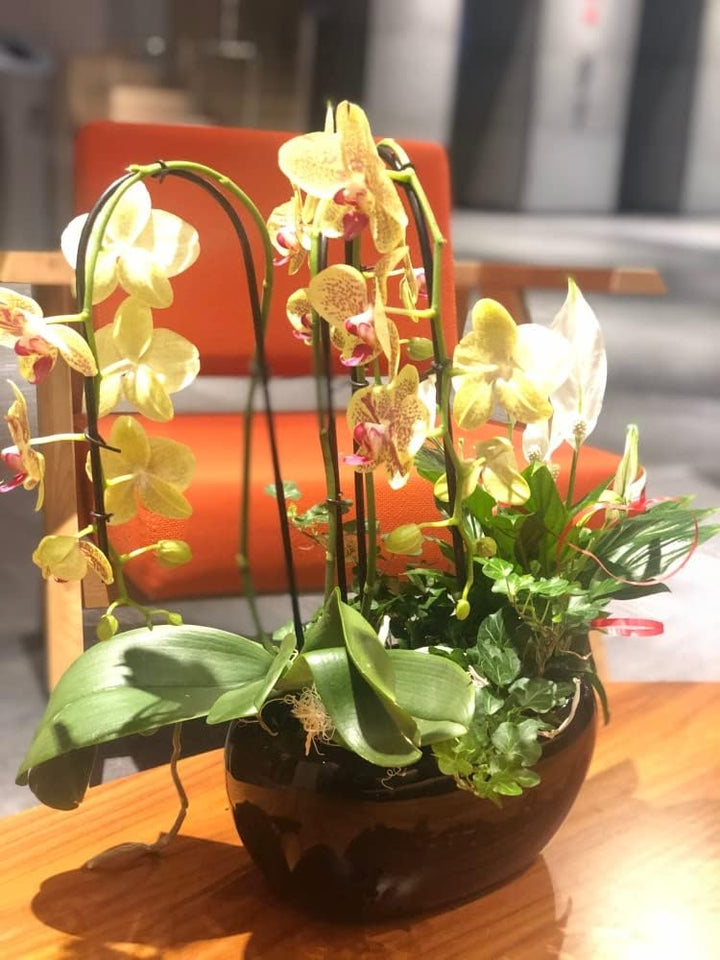 KOTARBAU® Keramik-Blumentopf Übertopft Blumenschale für Blumen Pflanzen Schwarz, Schwarz