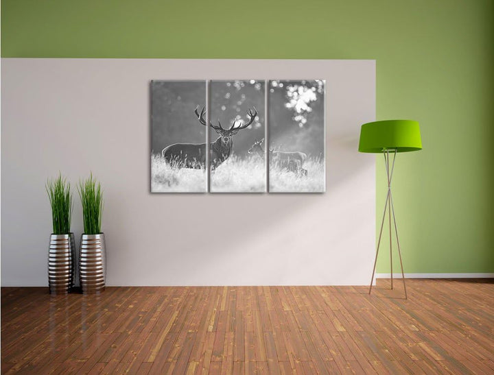 Pixxprint Rotwild im Morgenlicht als Leinwandbild/Grösse: 3Teilig (120x80) / Wandbild/Kunstdruck/fer