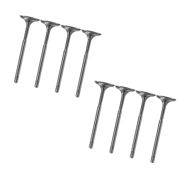 8x Einlassventil