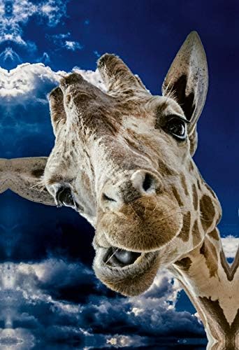 Premium Textil-Leinwand 50 x 75 cm Hoch-Format Giraffe | Wandbild, HD-Bild auf Keilrahmen, Fertigbil