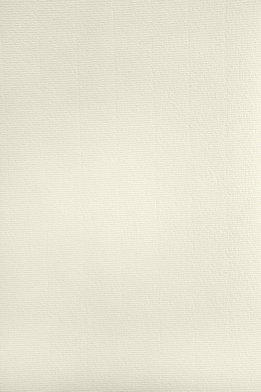 Netuno 500x Elfenbein Bastelpapier gerippt mit Wasserzeichen DIN A4 29,7 x 21 cm 120g Aster Laid Ivo