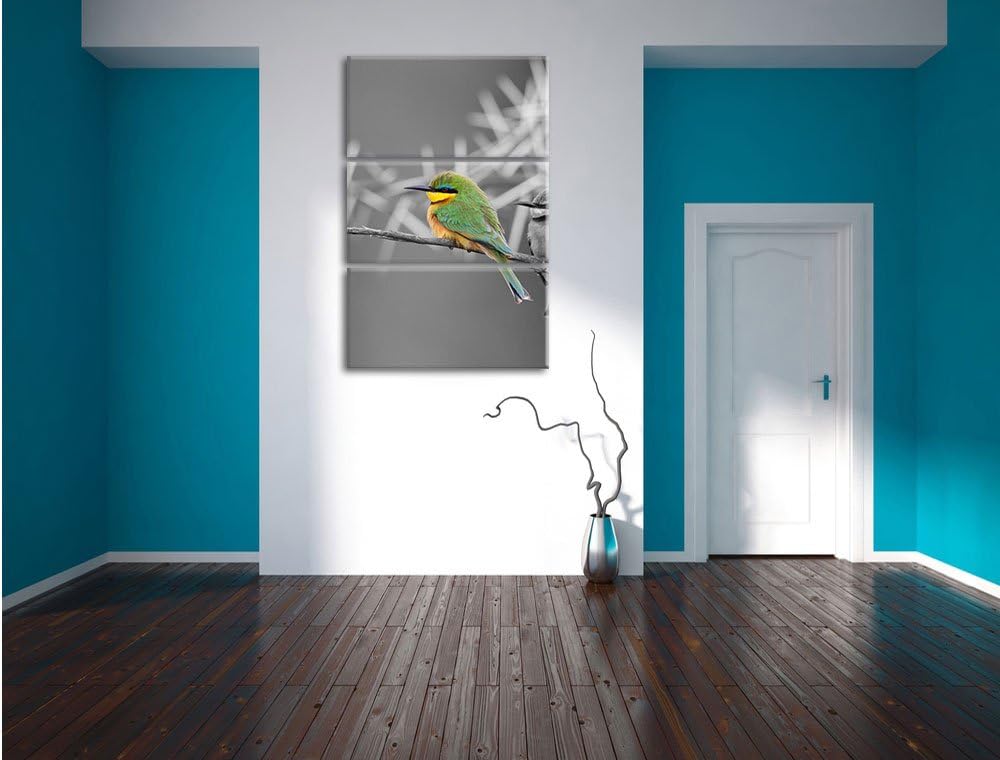 Pixxprint exotische Vögel auf AST als Leinwandbild/Grösse: 3 Teilig (120x80) cm/Wandbild/Kunstdruck/