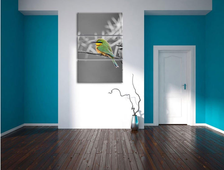 Pixxprint exotische Vögel auf AST als Leinwandbild/Grösse: 3 Teilig (120x80) cm/Wandbild/Kunstdruck/