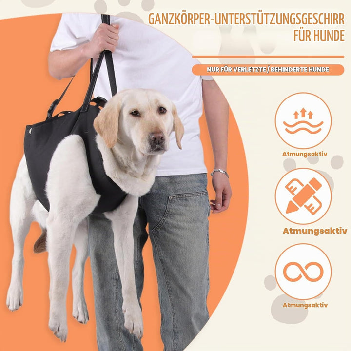 Hunde Tragehilfe, Tragehilfe Hund Treppe Verstellbare Gehhilfe für Hundes, Hundeliftgeschirr für Hin