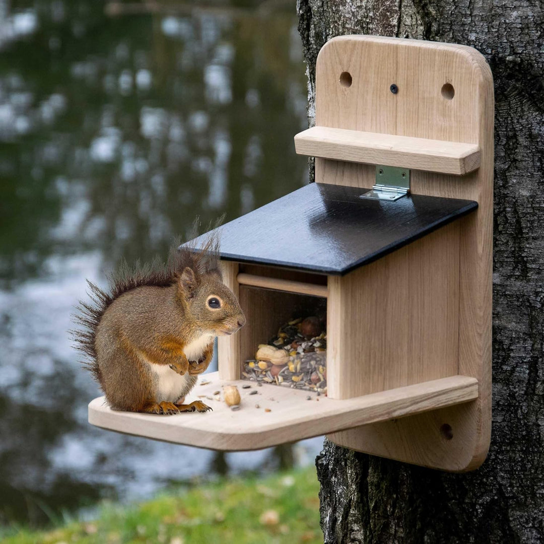 dobar® 22241e "Premium Eichhörnchenfutterstation Gross - Eichhörnchen Futterhaus Massivholz Eiche -