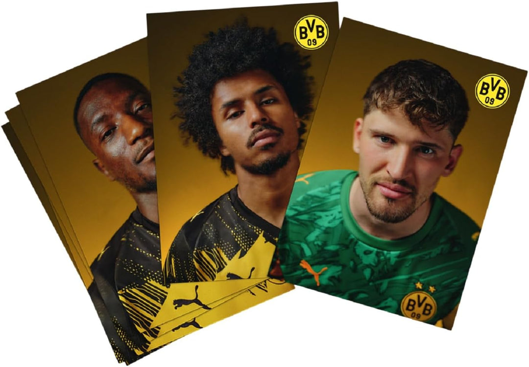 Borussia Dortmund BVB 09 BVB Autogrammkartenset -