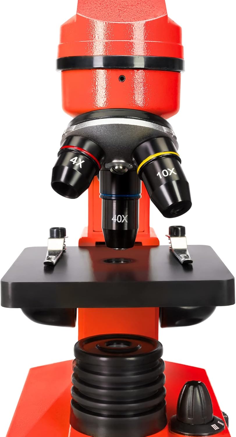 Levenhuk Rainbow 2L Orange Kinder Heimlabor STEM-Set mit Tragbarem Biologischen Mikroskop mit 400-fa