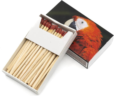 24x 55 Stück Kaminhölzer Extra Lang ca 10 cm + 1 Bildmagnet! Kaminstreichhölzer Kohleanzünder Grilla