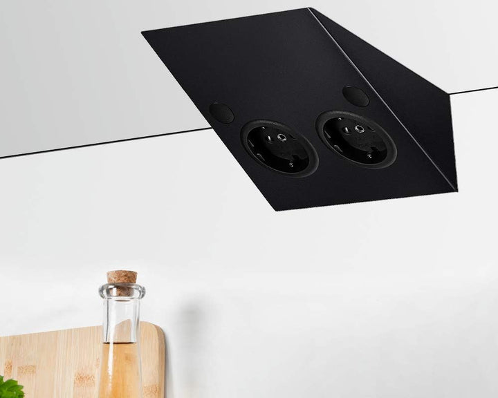 ST/2 889 SI Steckdosenelement 2-Fach