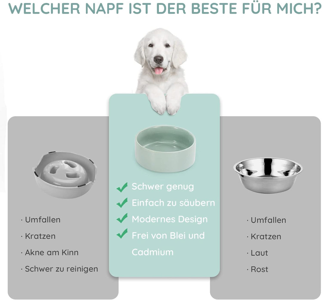 SPUNKYJUNKY Keramik Doppel Futternapf mit Bambus Ständer für Katzen und Hunde (400ml, Hellgrün), Dop