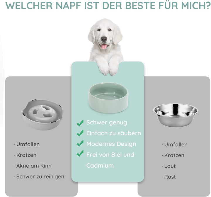SPUNKYJUNKY Keramik Doppel Futternapf mit Bambus Ständer für Katzen und Hunde (400ml, Hellgrün), Dop