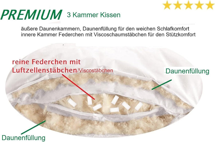 Schäafer Premium Air-O-Cell 3-Kammer Kissen aussen 100% Daune 40 x 60 cm 155991- auch optimal als Re