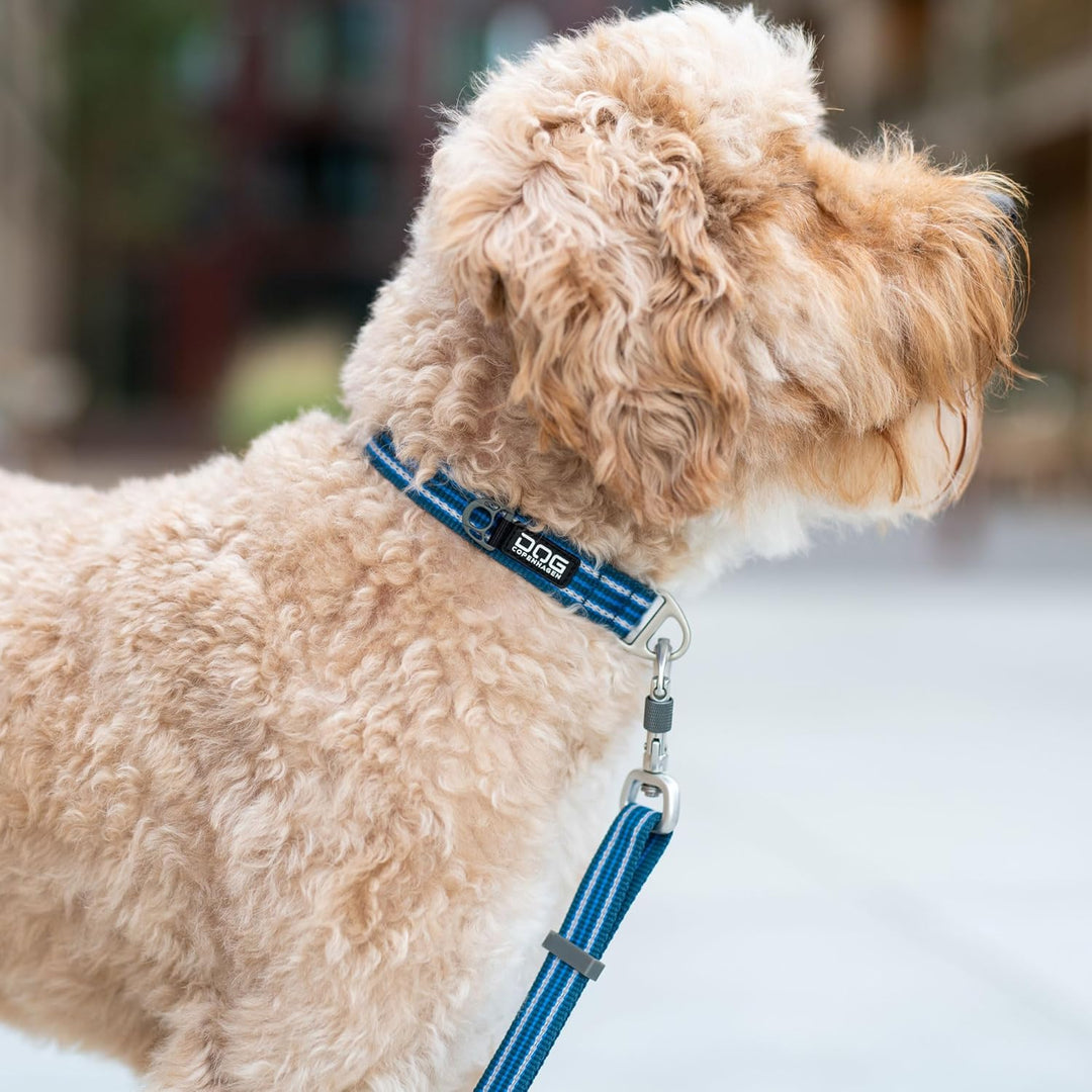DOG Copenhagen Urban Style Halsband, Black, S S Black, S Black