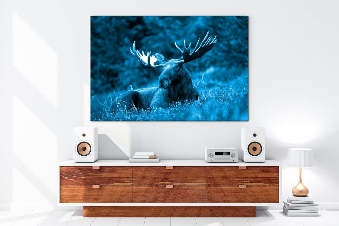 deyoli ruhig liegender Elch Format 80x60 Effekt: Monocrome Blau als Leinwandbild, Motiv fertig gerah