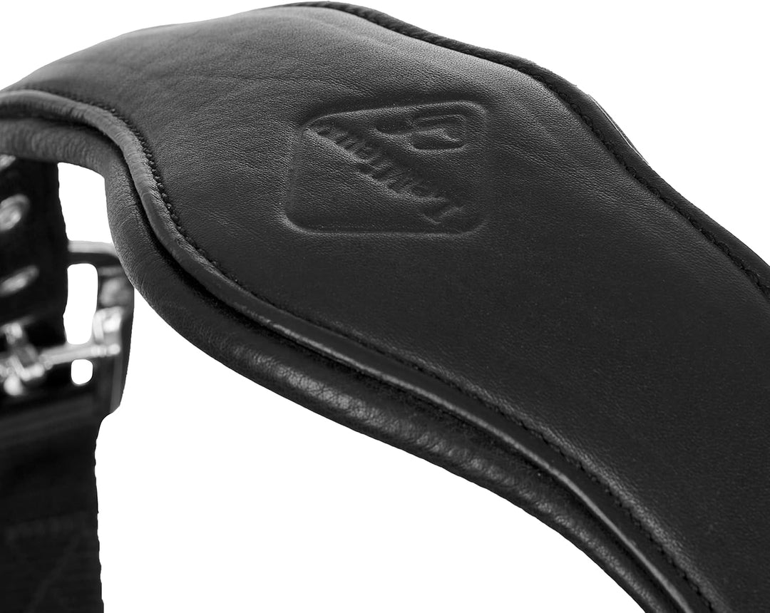 LeMieux Capella Headcollar Halfter Cob Schwarz, Cob Schwarz