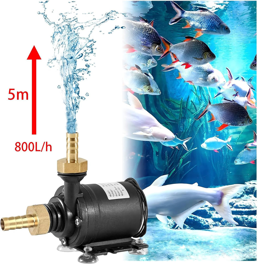 Wasserpumpe Brushless, DC 12V 800L/H Tauchpumpe Pumpe Wasser, Keramik Pumpenkern, Stumm Brunnenpumpe
