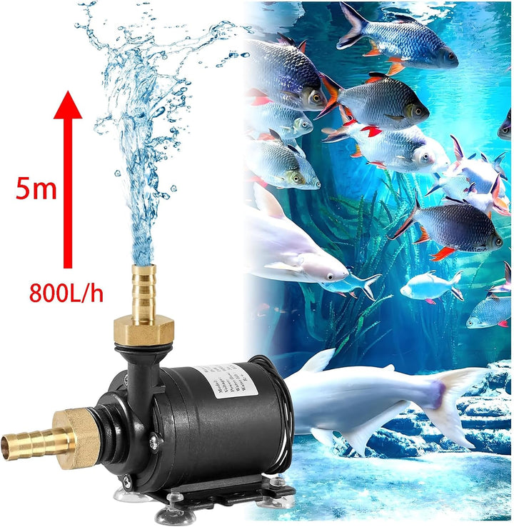 Wasserpumpe Brushless, DC 12V 800L/H Tauchpumpe Pumpe Wasser, Keramik Pumpenkern, Stumm Brunnenpumpe