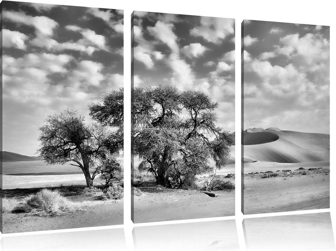 Pixxprint Monocrome, kleine Bäume in Wüstenlandschaft 3-Teiler Leinwandbild 120x80 Bild auf Leinwand
