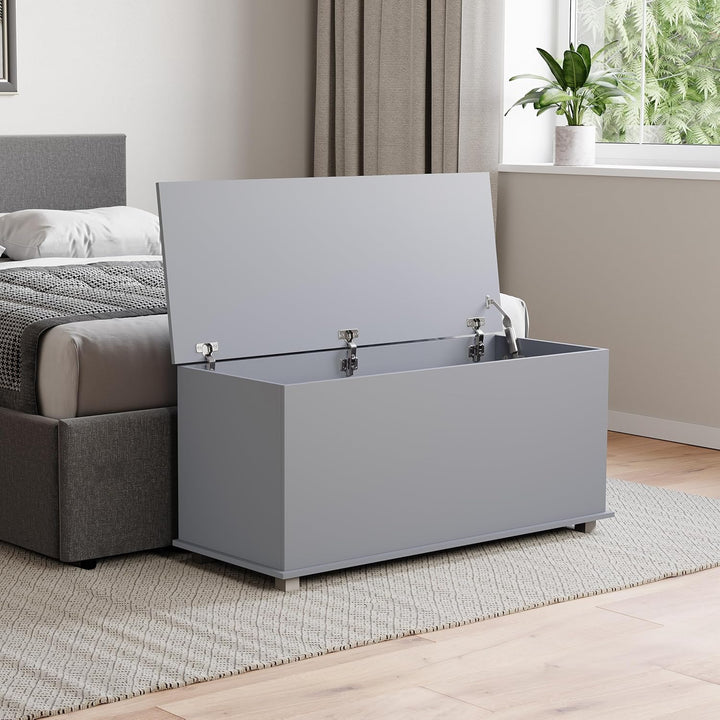 Vida Designs Leon Ottomane, Holz in Grau, 100 x 40 x 48 cm – Ottomane mit Klappdeckel, ideal für Spi