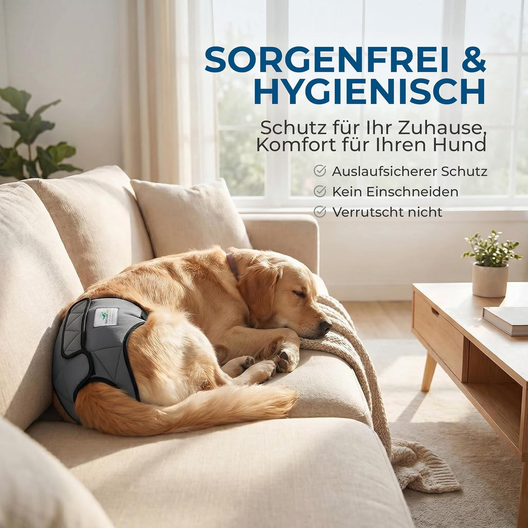 Läufigkeitshose für Hündinnen 2.0 - Hundewindeln aus hochwertigem perforiertem Neopren für einen opt