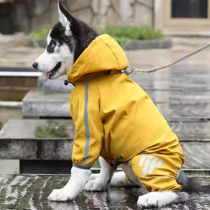 PiPiCat Wasserdichter Hunderegenmantel, für mittel- und kleine Hunde mit Kapuze, ganzkörperabdeckend