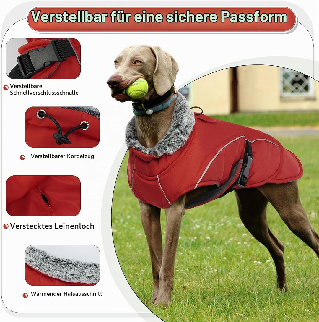 Hundemantel Wasserdicht, Wintermantel für Kleine Hunde Winter Hundejacke Hundeweste Kleine Hunde War